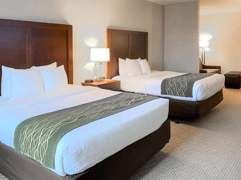 فندق كومفرت إن آند سويتس Rogersville المظهر الخارجي الصورة